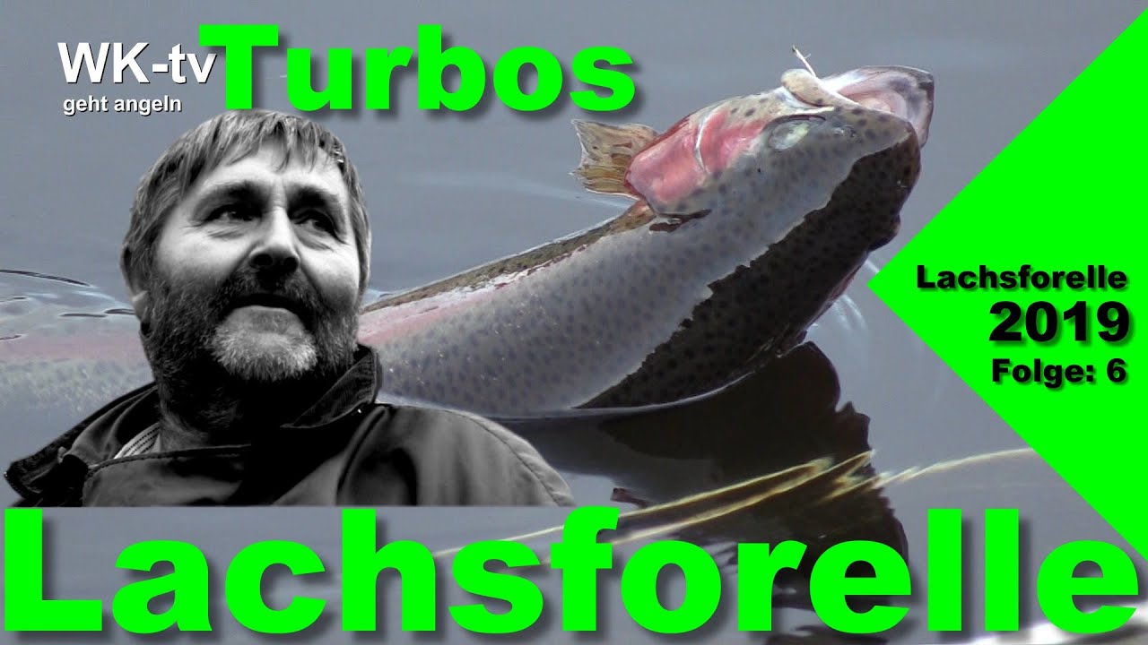 Lachsforellen im Herbst - Köder/Fische und Aberglaube von Turbos Angelteiche auf Youtube