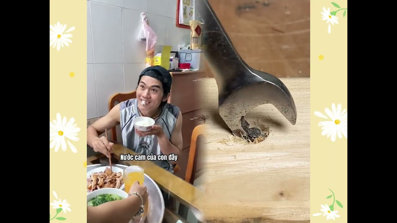 🤣👌👌👌2026 Đáng xem Tuyển tập những clip điên rồ không thể bỏ lỡ #humor #fypシ #pov #fyp #foryou😍😜