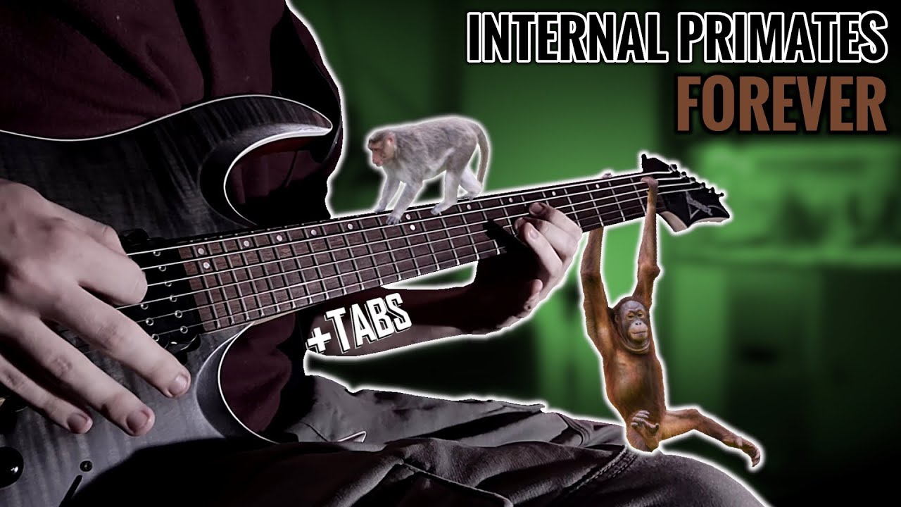 Mudvayne - Internal Primates Forever [Guitar Cover and Lesson] with TABS!