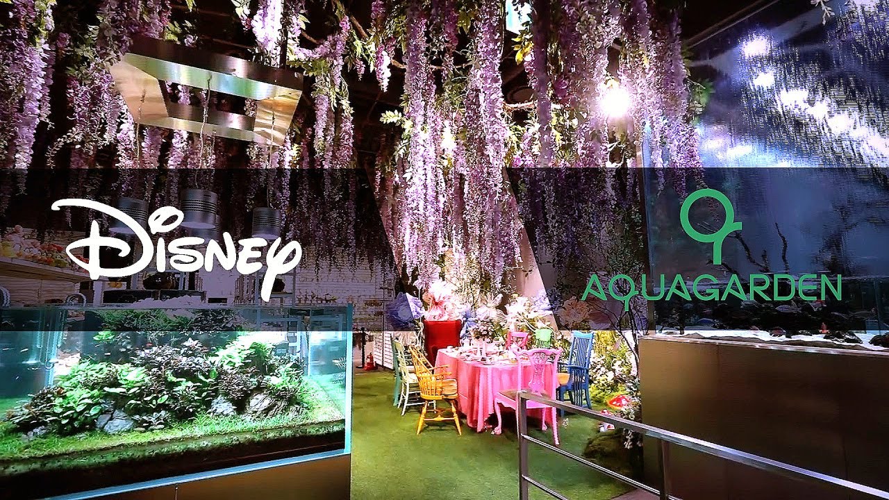 Part 1. 디즈니와 아쿠아가든의 콜라보레이션ㅣ롯데월드몰에 이상한 나라의 앨리스#aquagarden#aquarium#terrarium#아쿠아가든#아쿠아카페#테라리움