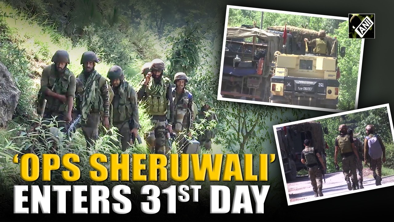Security forces intensify search operation in Dorimal Forest as &lsquo;Ops Sheruwali&rsquo; enters 31st Day