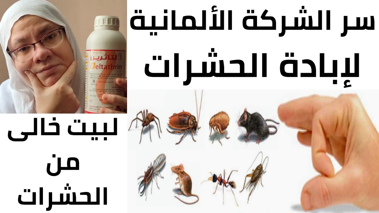 #مصرية_تتحدى_الإعاقة⁦👩🏽‍🦽⁩جبتلكم سر🤫 