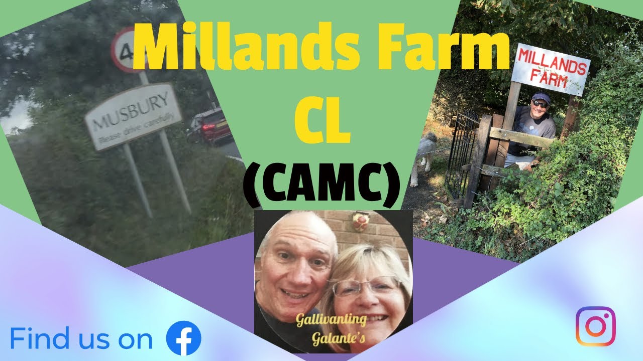 Millands Farm (CAMC) #motorcaravan #campervan #motorhome #dogs #motorhometrip #tibetan