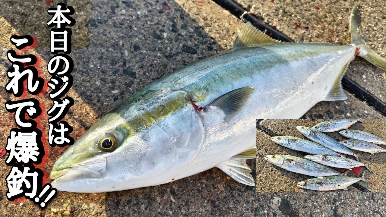 【ショアジギング】今日はこのジグで釣れましたよ～。