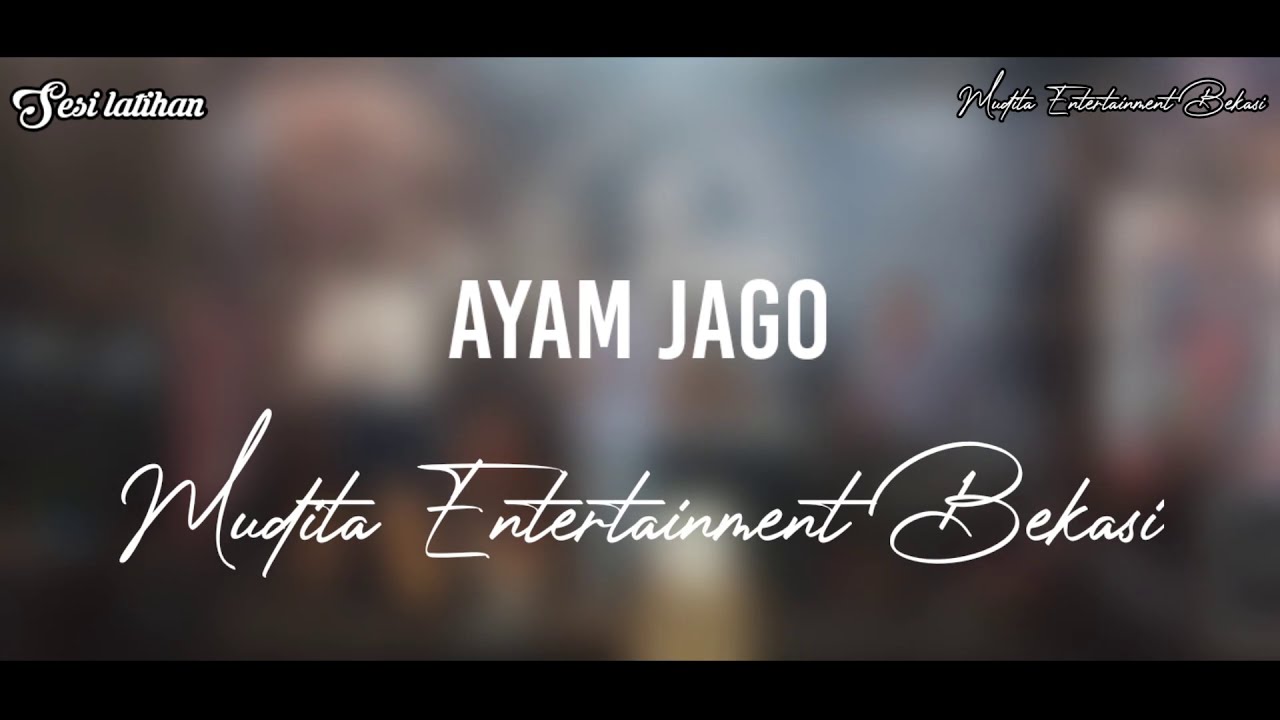 Ayam Jago Gambang Modern (Mudita Entertainment Bekasi)