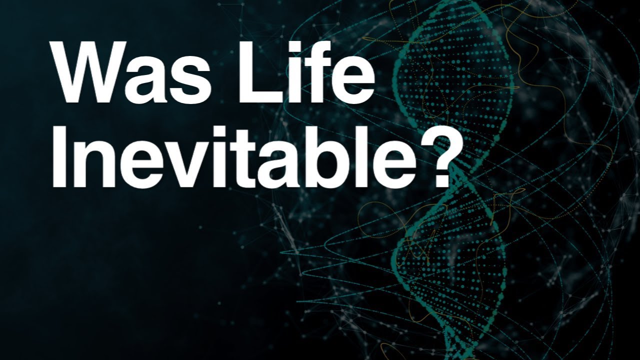 Was Evolution Inevitable?