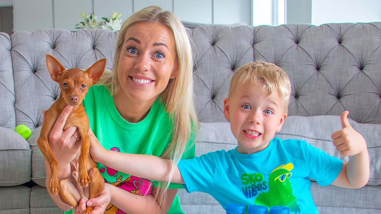 Testing DOG TOYS with PUPPY Chico | FUNNY PETS VIDEO