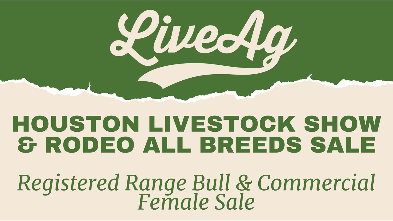 Watch the 2026 Houston Livestock Show & Rodeo All Breeds Sale Commercial  Female Sale