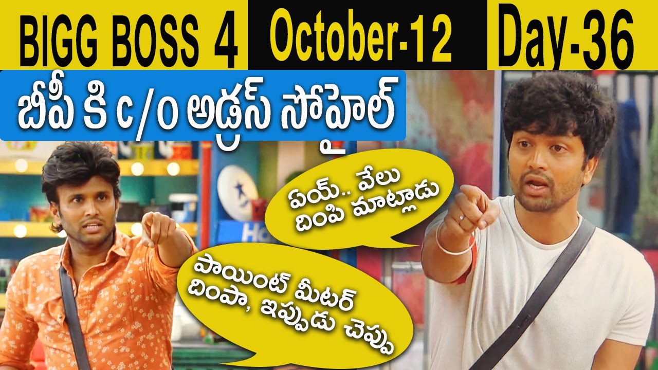Bigg Boss Telugu Season 4 Episode 37 , Day 36 Review by Telangana99 , Bigg Boss 4 Telugu Mehaboob