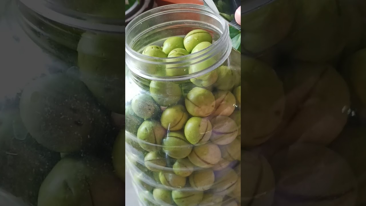 طريقة عمل مخلل الزيتون الأخضر التفاحي في البيت بمقدار محلول الملح المضبوط #لايك #اشتراك #اكلات