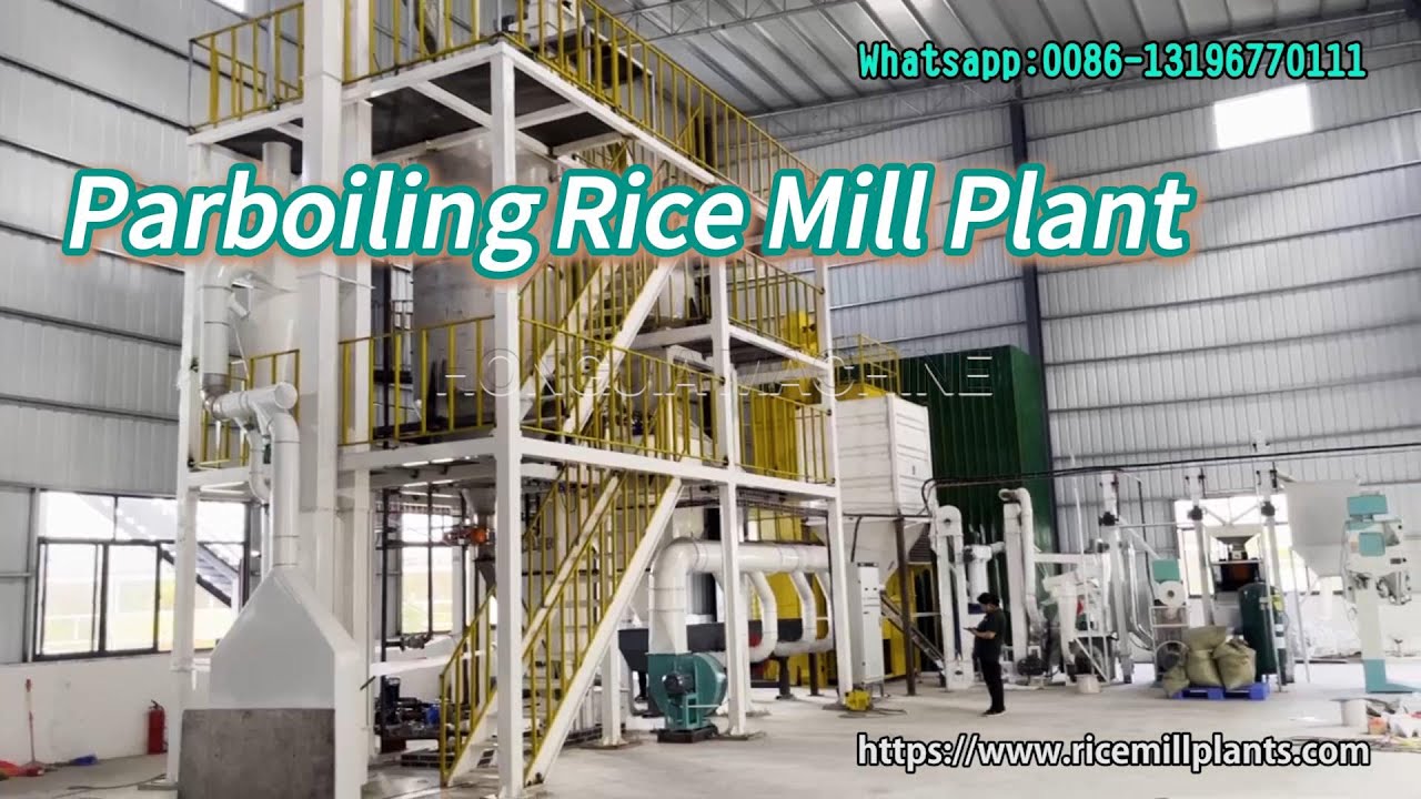 5Ton/Batch Parboiled Rice Milling Machine | Paddy Parboiling Machine Supplier