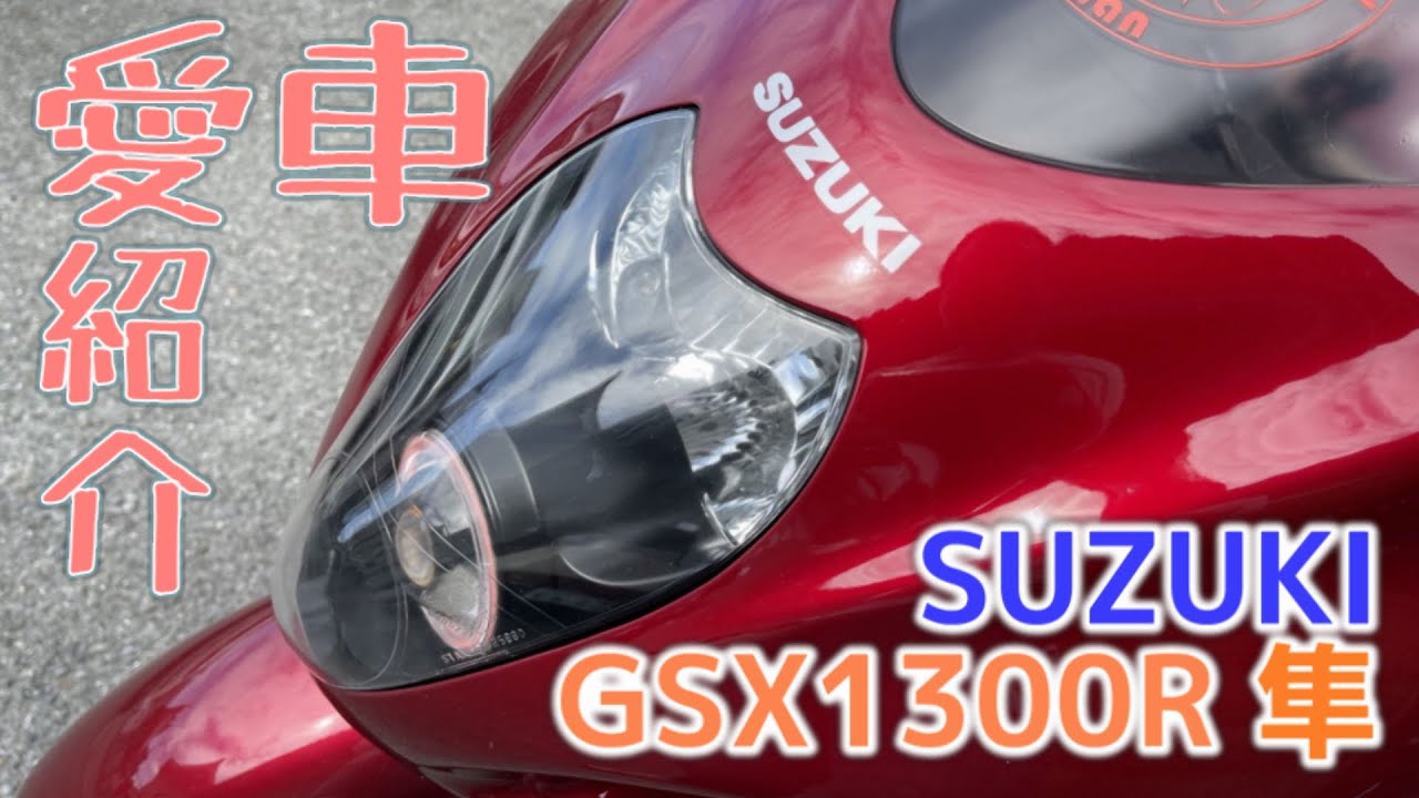 【モトブログ】愛車紹介！ 私の走る宝石、ハヤブサ！【GSX1300R 隼】