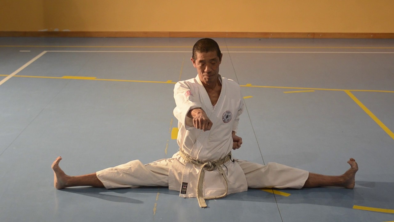 M. Shojun Sugiyama 9&deg; Dan Shotokan Karate Do