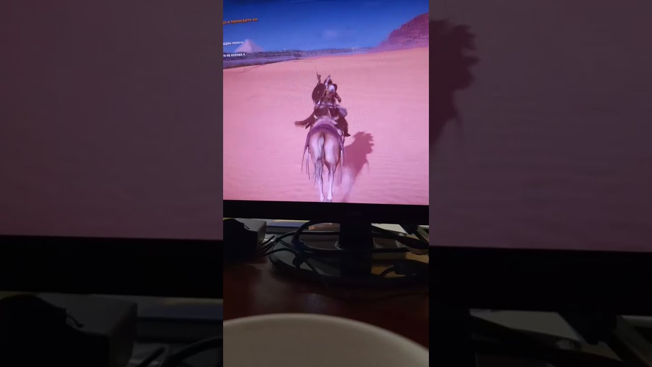 ASSASSIN  в прямом эфире!