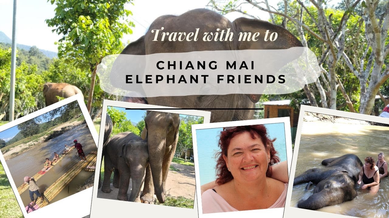 Chiang Mai Elephant Friends.  Eps.  17