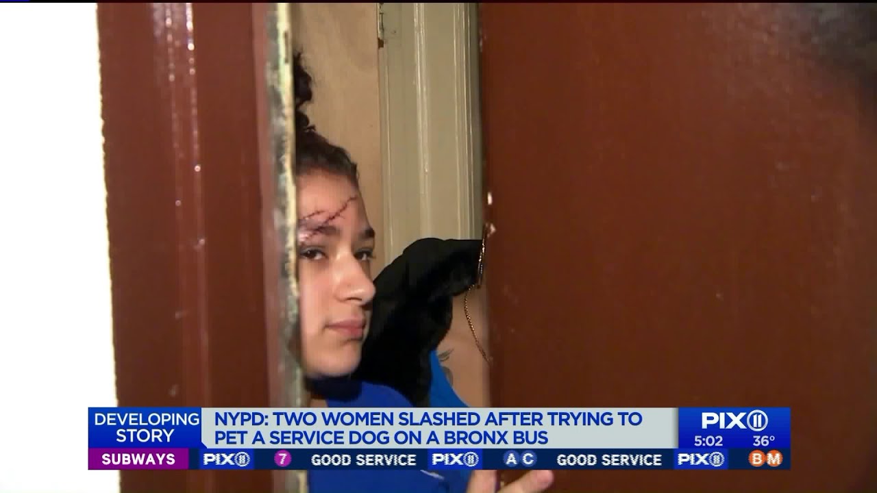 Two women slashed after trying to pet service dog on Bronx: police