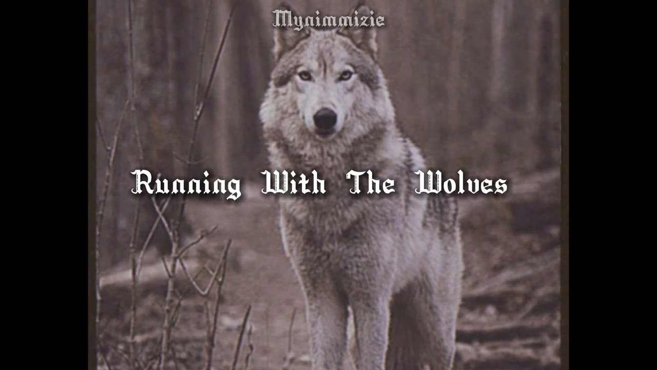 Aurora - Running With the Wolves (sped up)