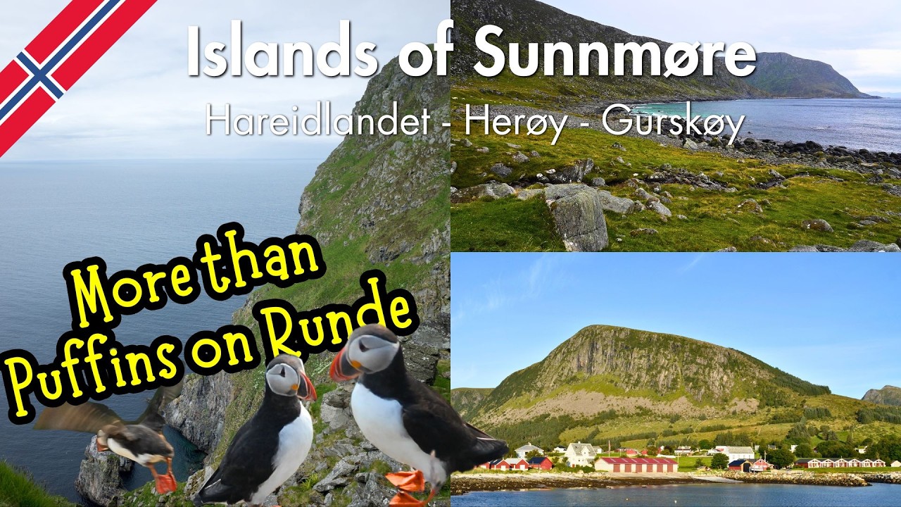 Runde and the Islands of Sunnmøre : More Than Just Puffins!