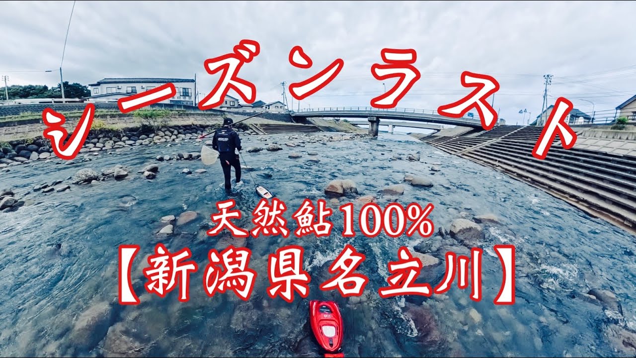 【名立川】鮎釣り終幕！Final Answer〜