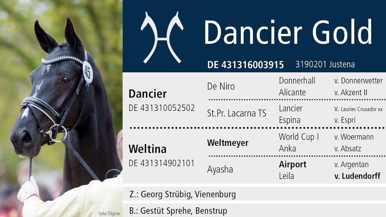 Weltmeyer-Preis für Dancier Gold