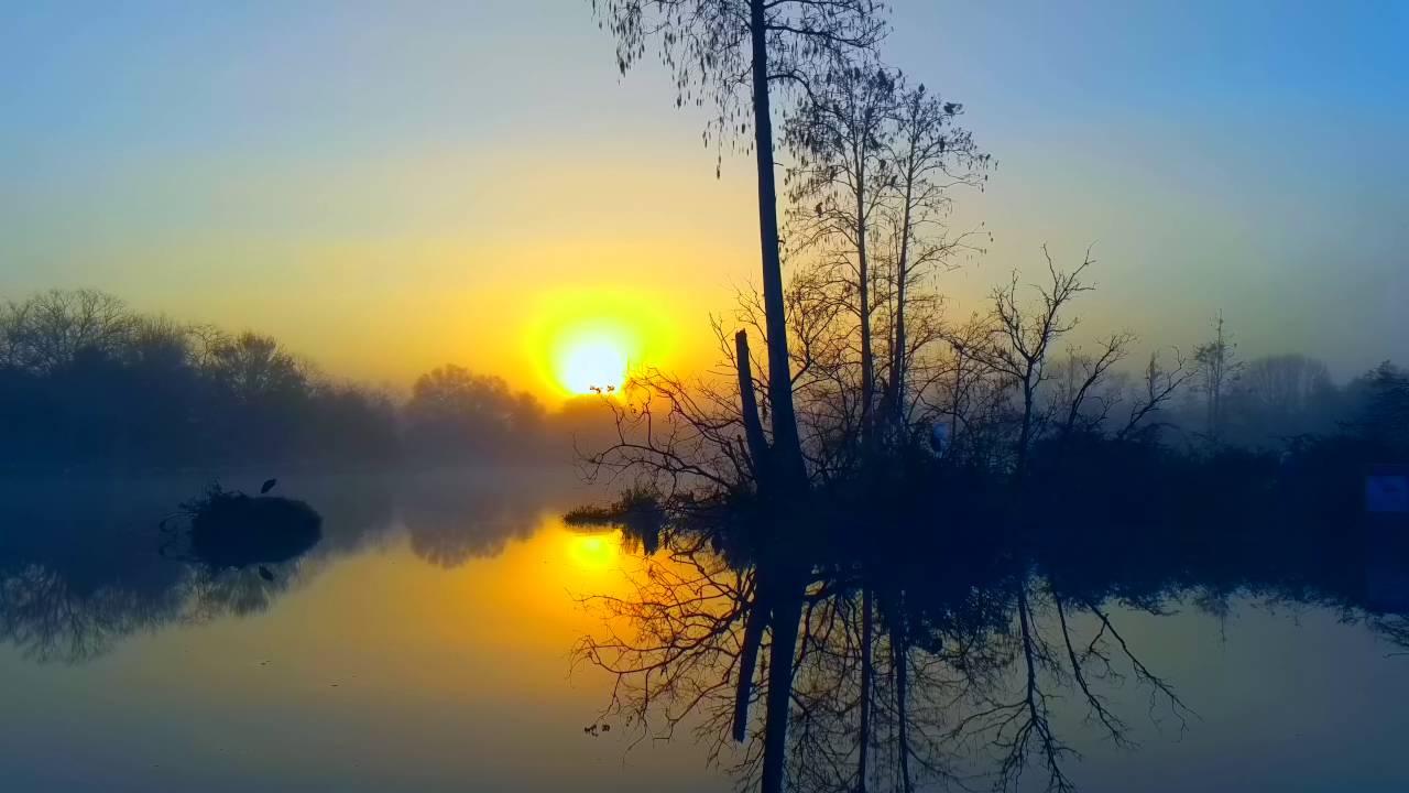 Relaxing Nature - 3 Hour Surreal Sunrise - Florida Bird Sounds - No Music
