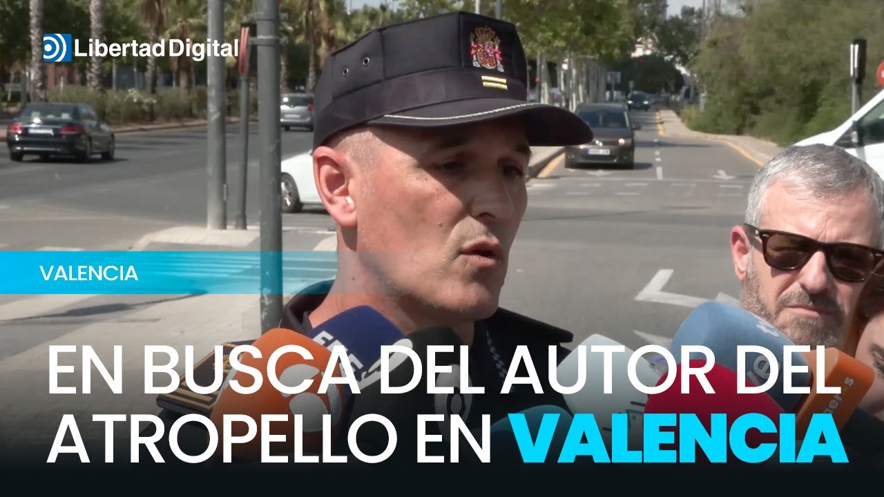 Polic&iacute;a Local de Valencia pide ayuda para localizar al autor del atropello en Valencia