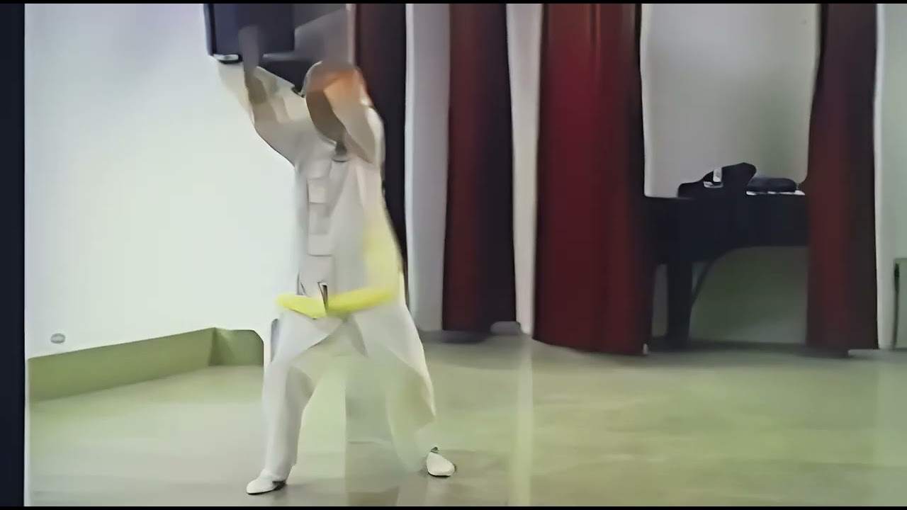柔拳武術宗師 童金龍 鶴拳五歩