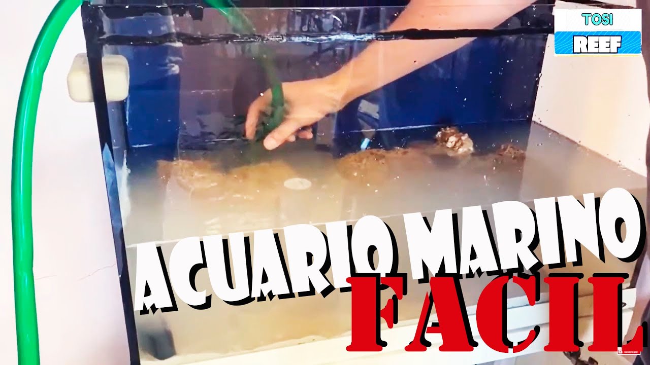 🐟🐟🐠 #4 Como montar un ACUARIO MARINO paso a paso DESDE CERO 2022/how startup a reef aquarium 🐟🐠