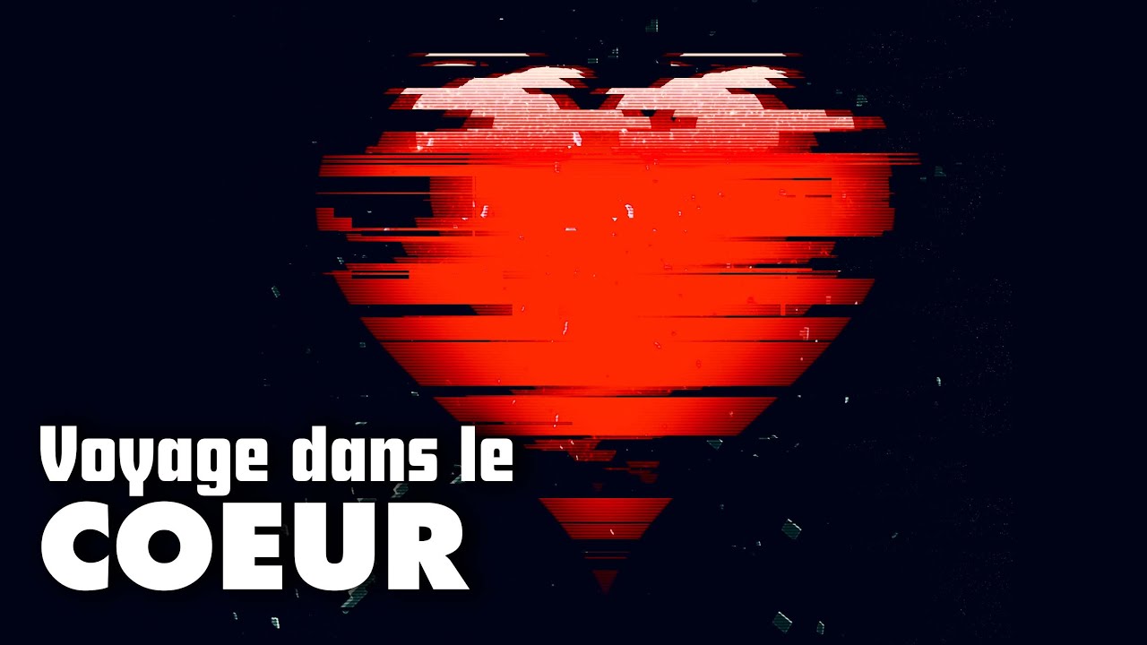 💓 Combien de fois un cœur peut il battre ?