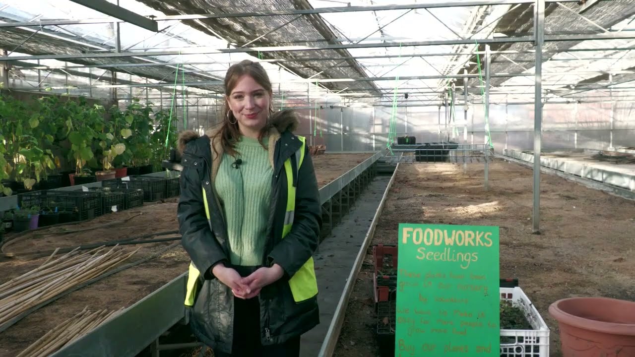1 Year Anniversary of Food Works at Norton Nurseries, Sheffield