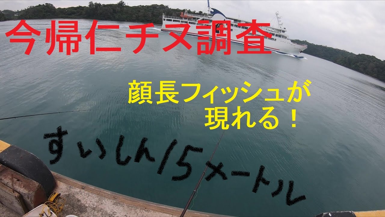 チヌを釣らせてくれ！第２話の前編【今帰仁】【沖縄の釣り】