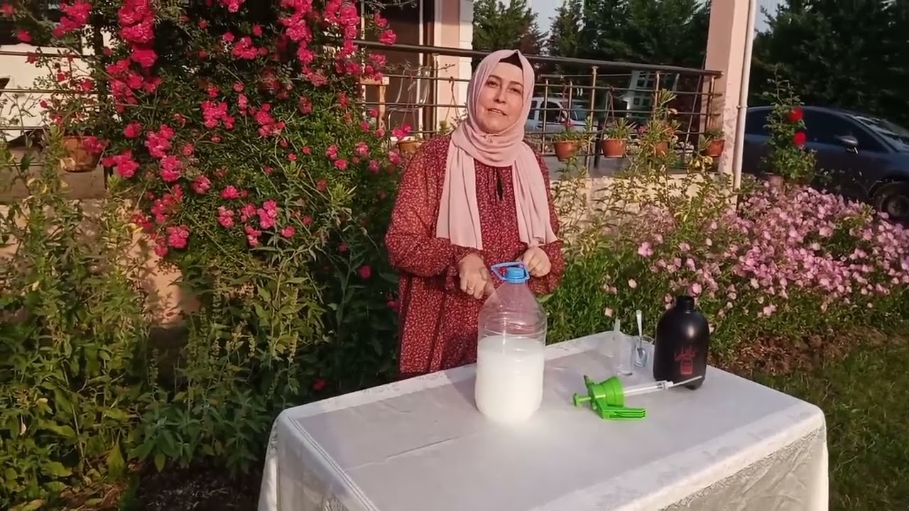 Domatese, Bibere Bunu Uygulayın! Sonbahara Kadar Bol Bol Ürün Toplayın!