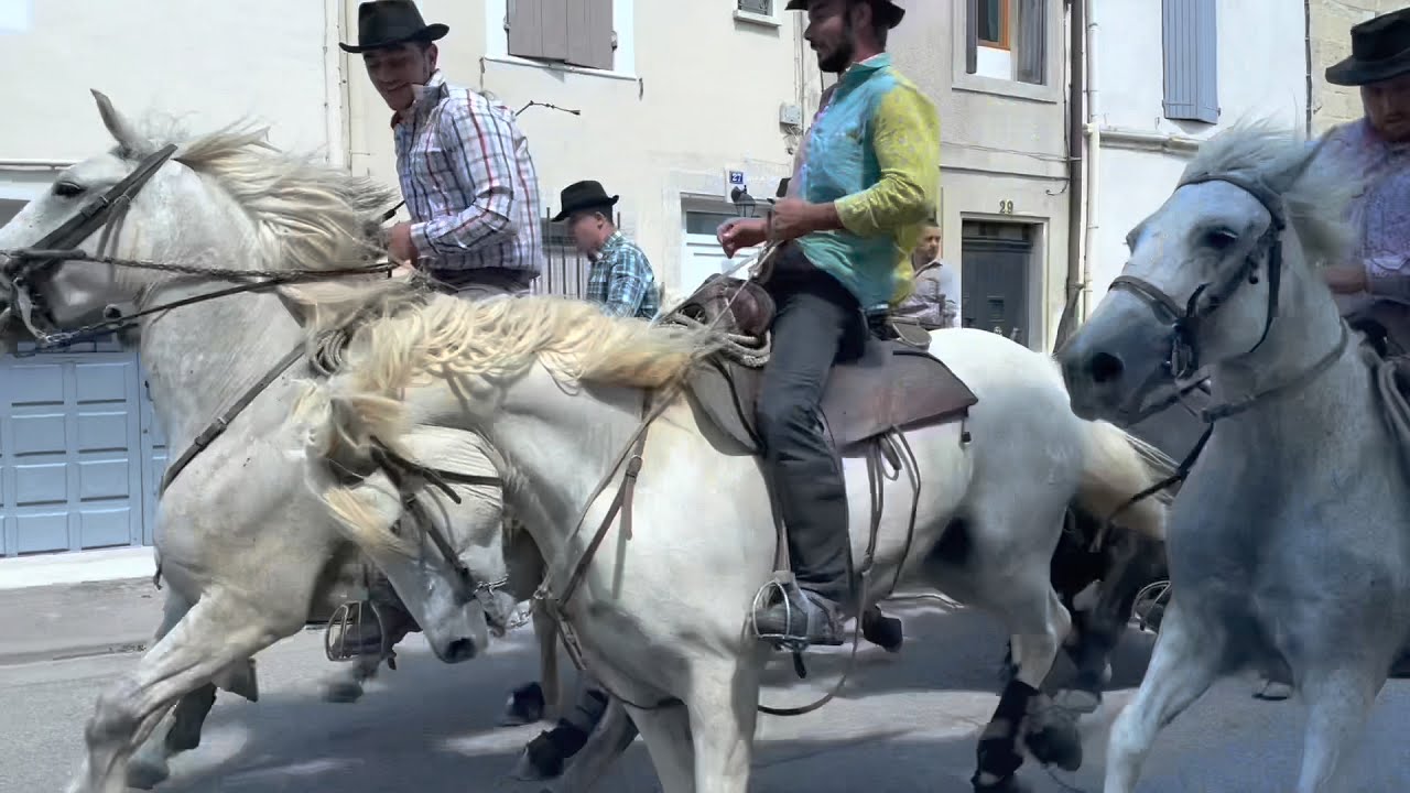 Fête de Marsillargues 2021 - Abrivado Bandido