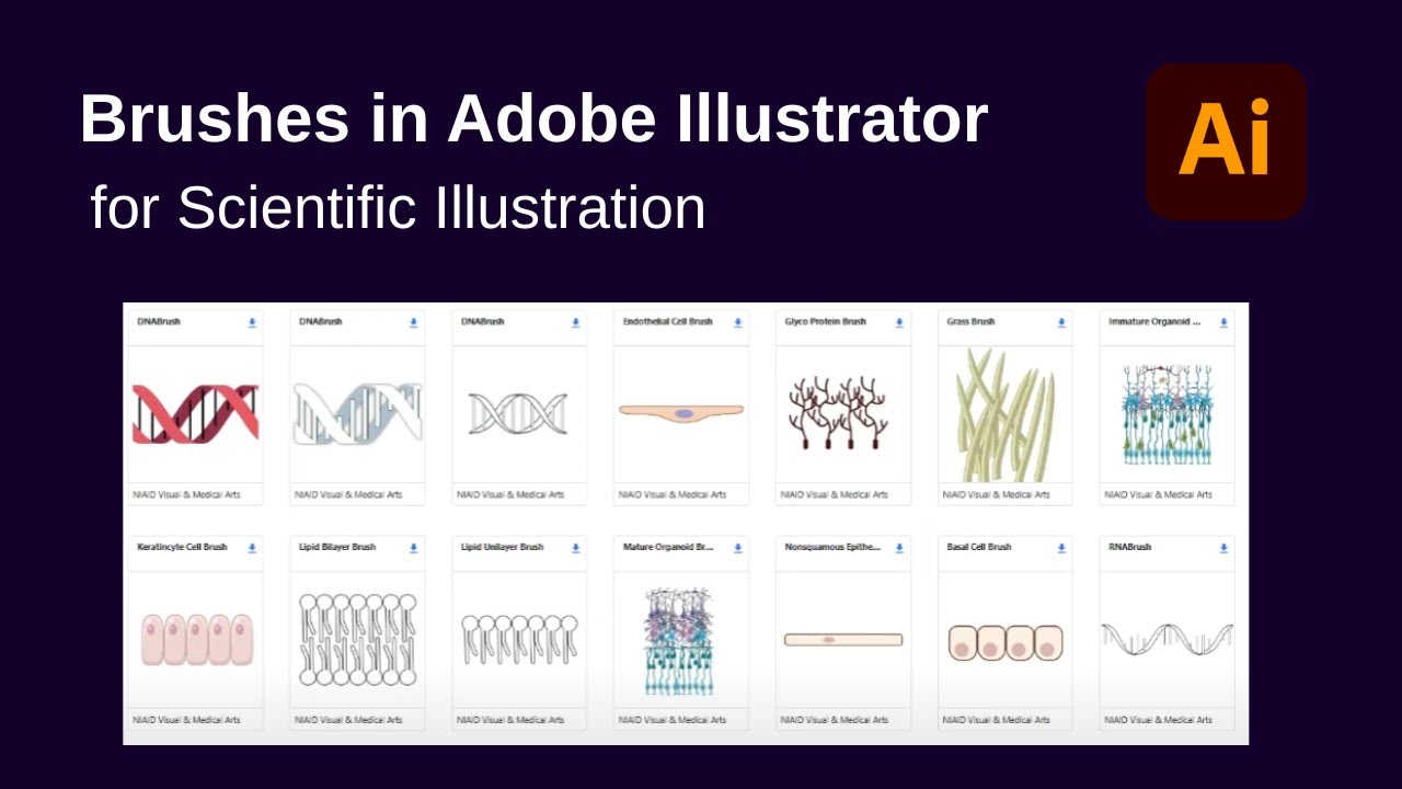 Brushes in Adobe Illustrator for Scientific illustration | NIH BioArt