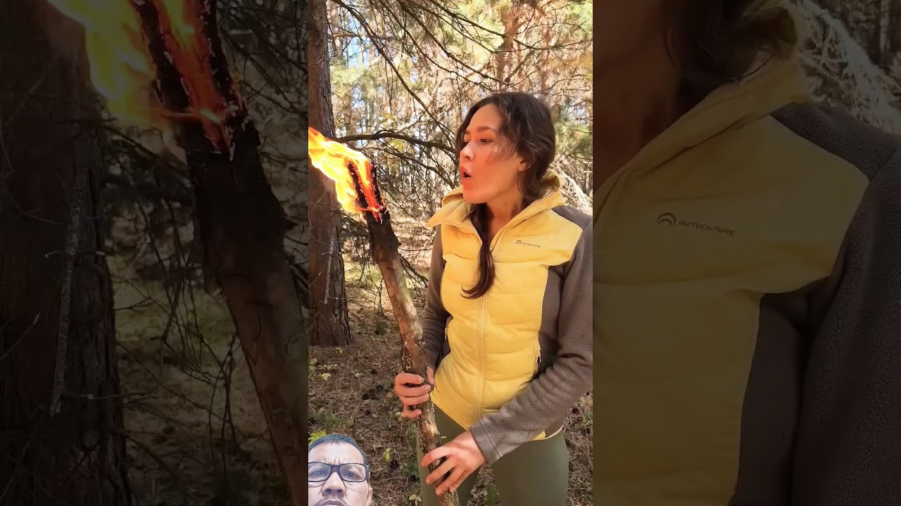 cara mudah membuat obor pakai ranting pohon pinus#shortsvideo, #shortvideo, #shorts, #short