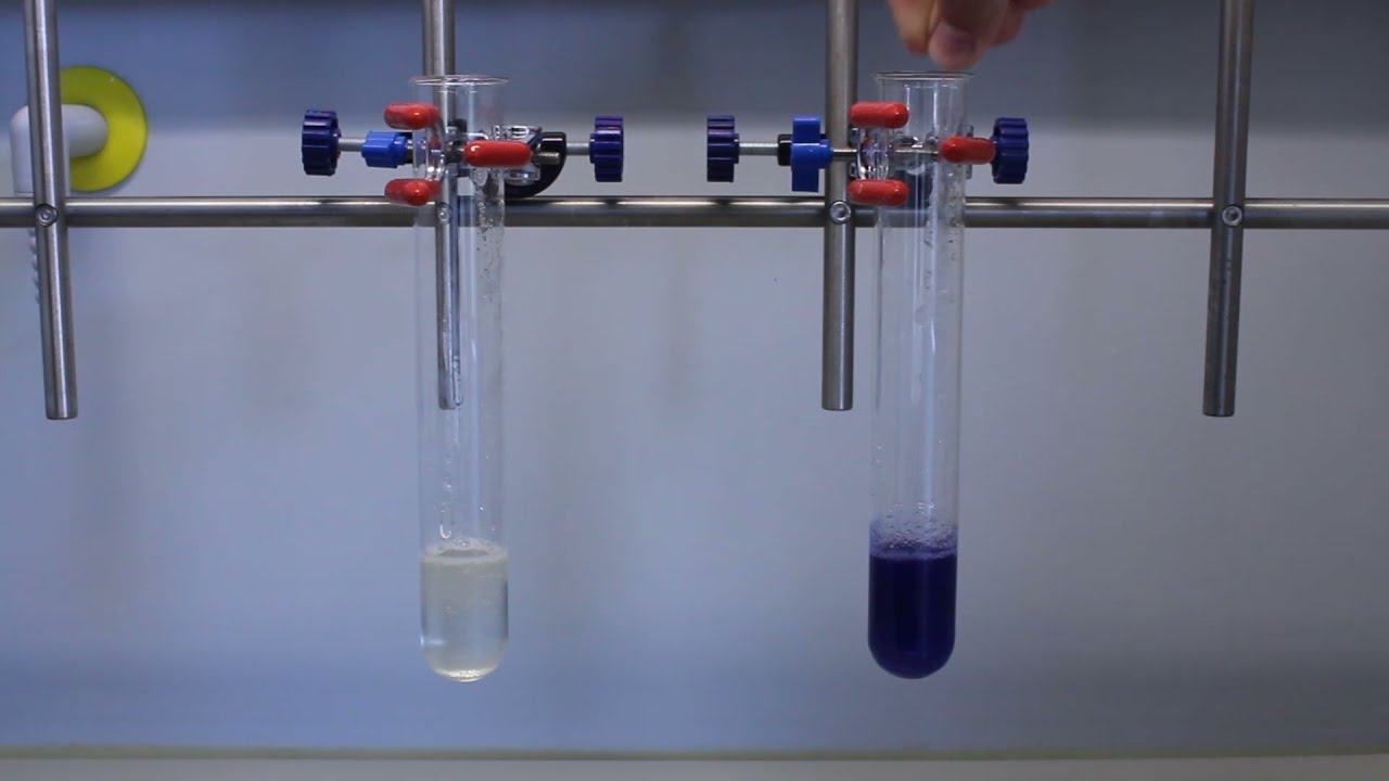 Biuret-Probe