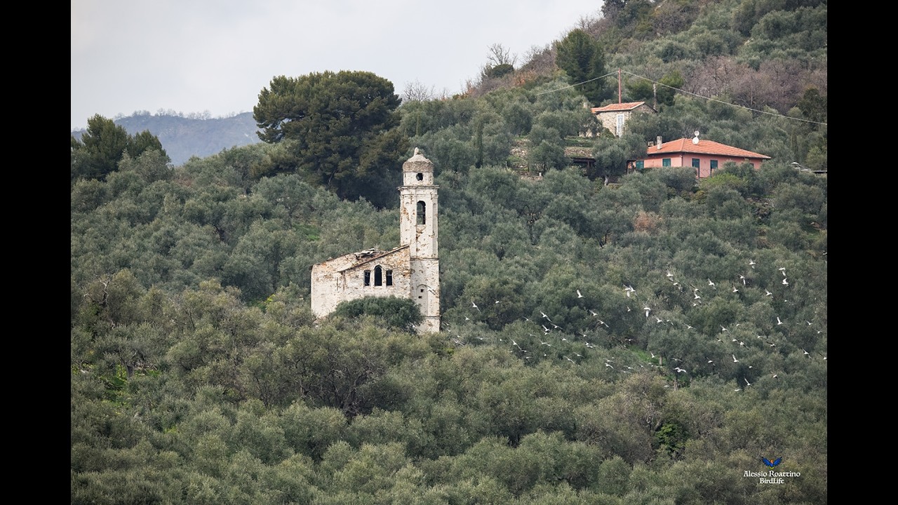 Chiesa S Andrea, Moltedo (IM).