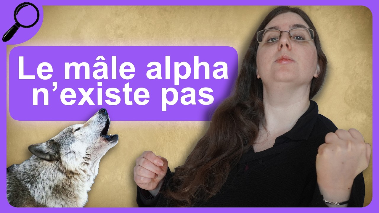 Le “Mâle Alpha” est un Mensonge : Voilà Pourquoi (et Comment S’en Libérer)