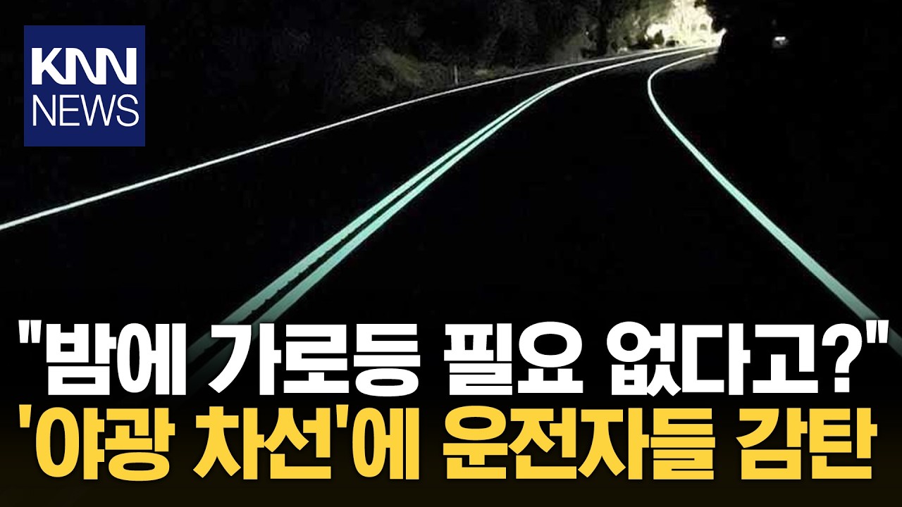칠흑 같은 어둠 속 도로가 빛난다 