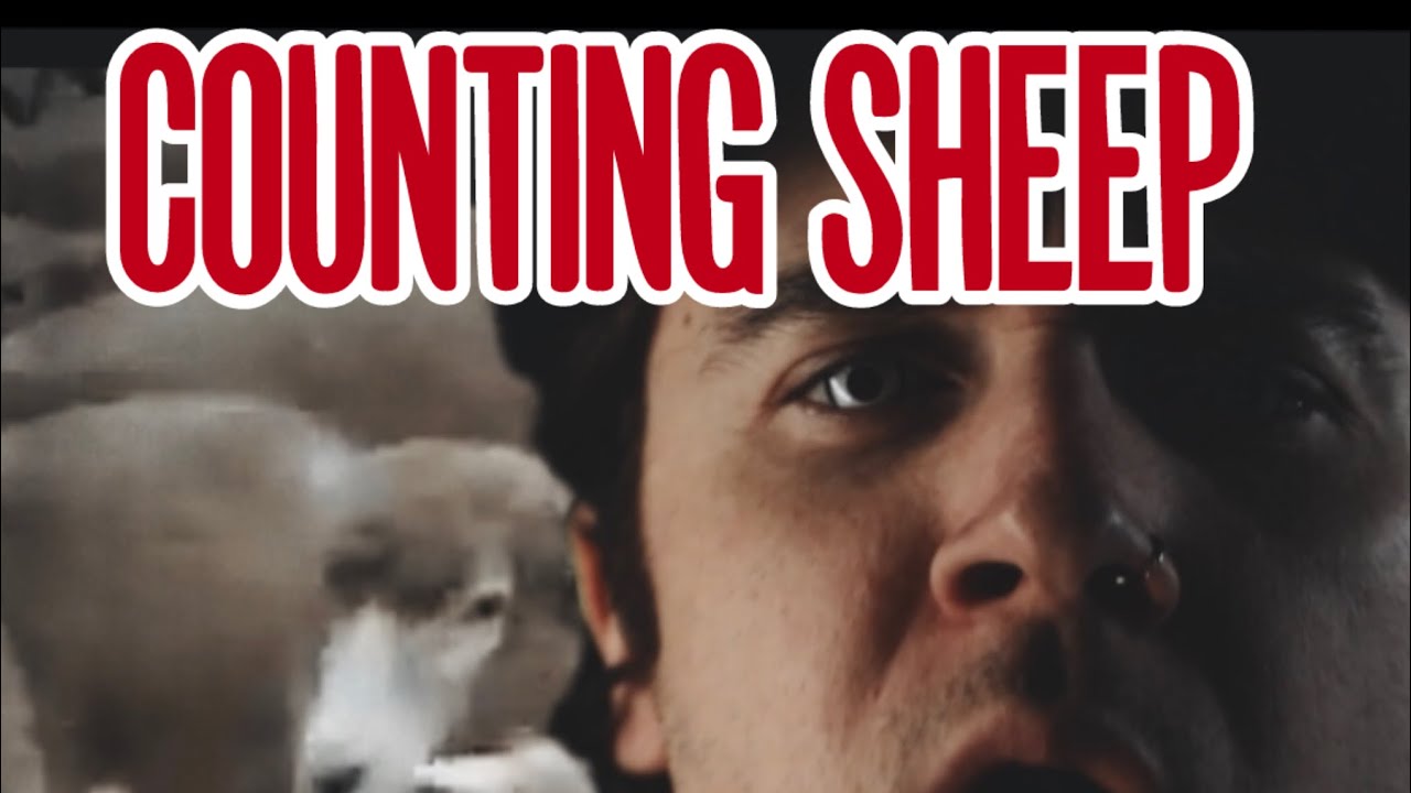 Meryl Streek - Counting Sheep