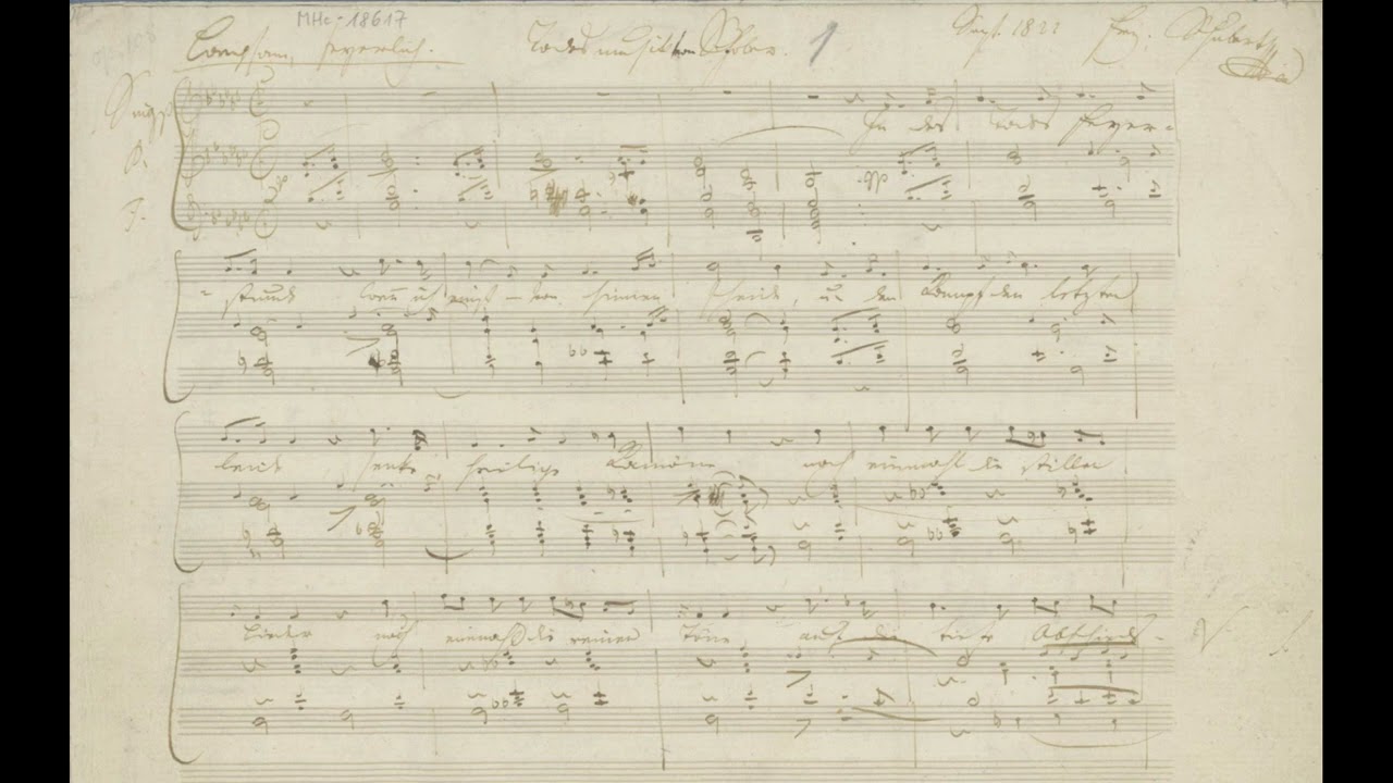 Franz Schubert: TODESMUSIK (Franz von Schober), D 758 │ Daniel Johannsen & Florian Birsak