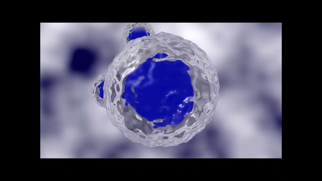 White To Brown Fat Conversion-Increase Thermogenesis + Health Boost (Binaural beats+ morphic field)