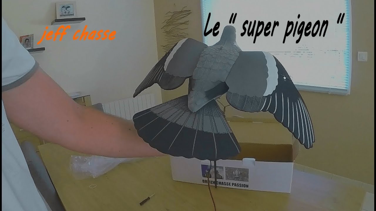 Montage du 