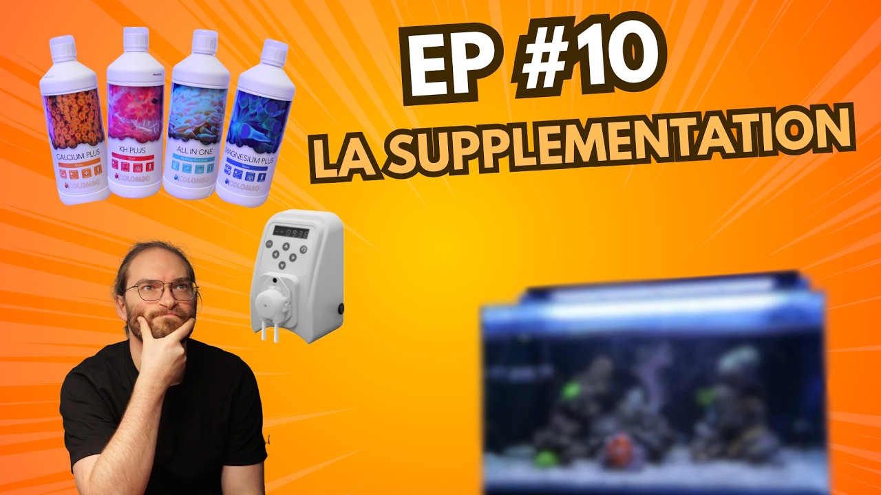 D&eacute;marrer mon premier bac r&eacute;cifal [EP#10] : la suppl&eacute;mentation