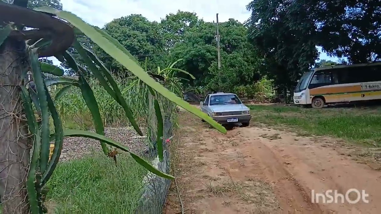 Catando quiabo e começando o alicerso da casa 