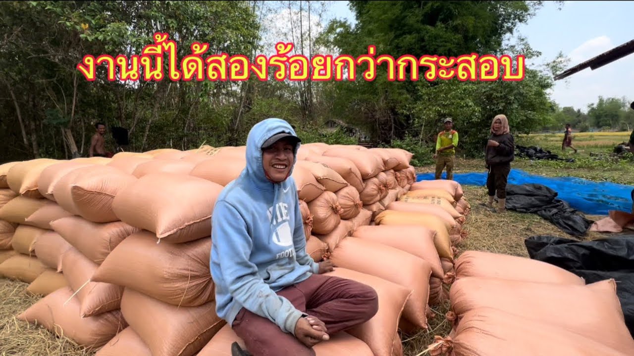 เจองานใหญ่งานนี้ได้สองร้อยกว่ากระสอบ