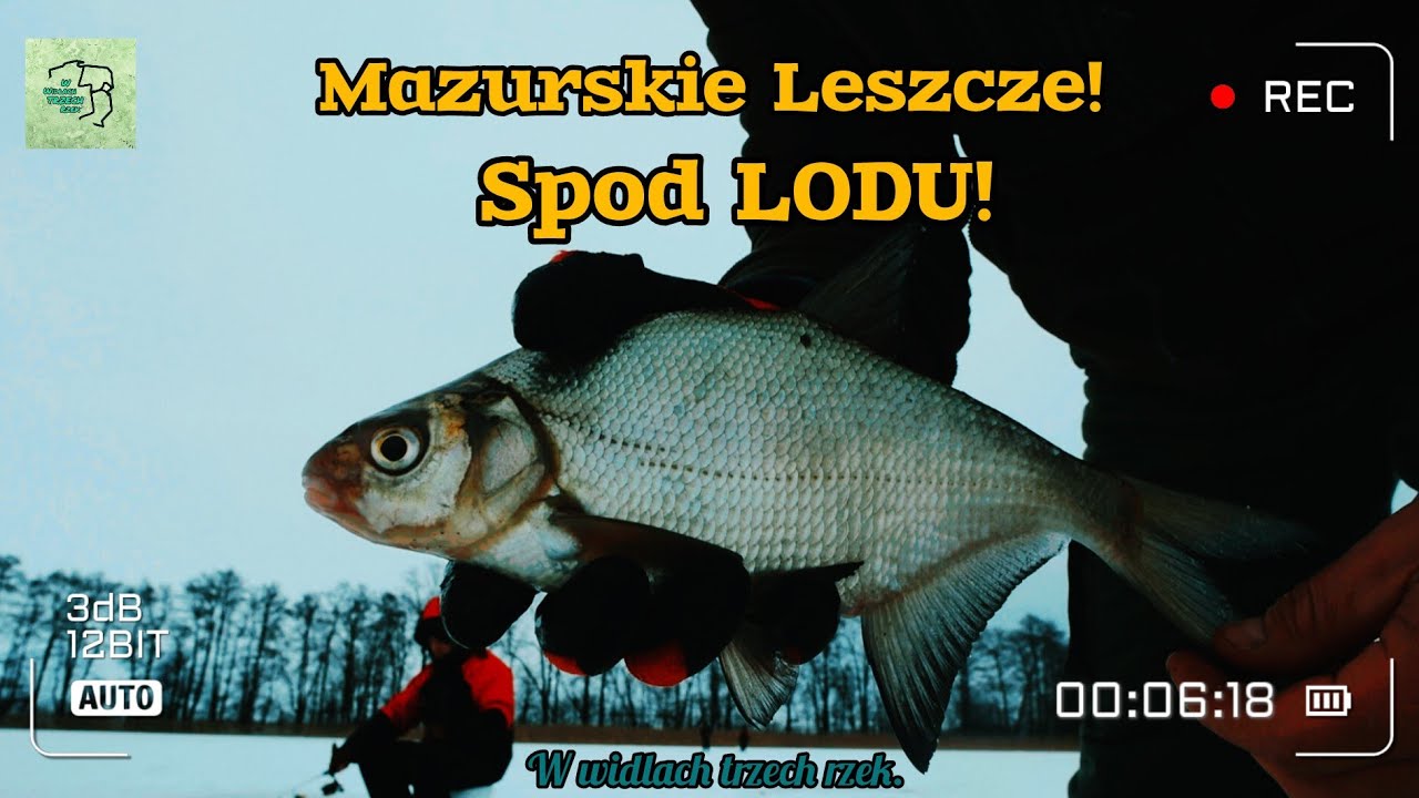 MAZURSKIE LESZCZE SPOD LODU! Spławik znad Wisły, Maciek i Marcin nad Jeziorem Bartężek! Edycja 2026!