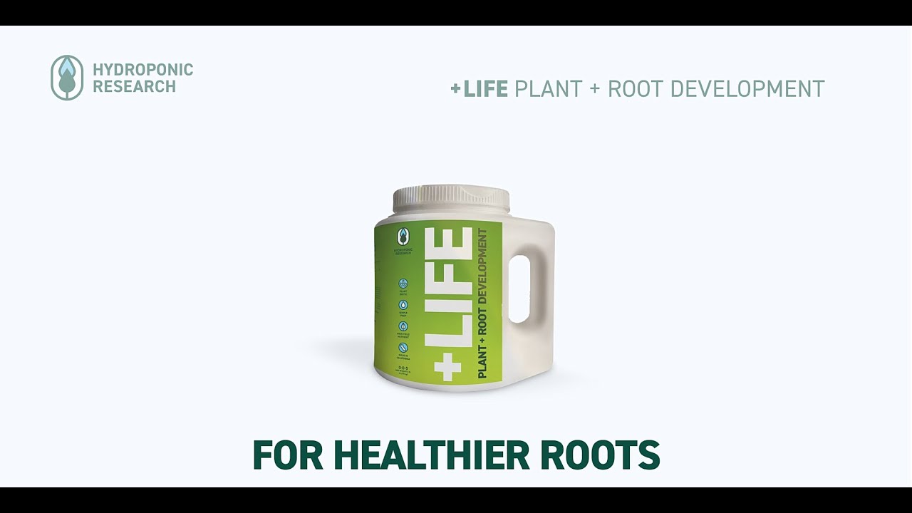 +LIFE: For Healthier Roots