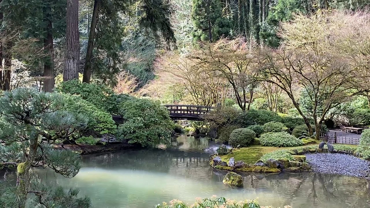 Serenity in the Strolling Pond Garden