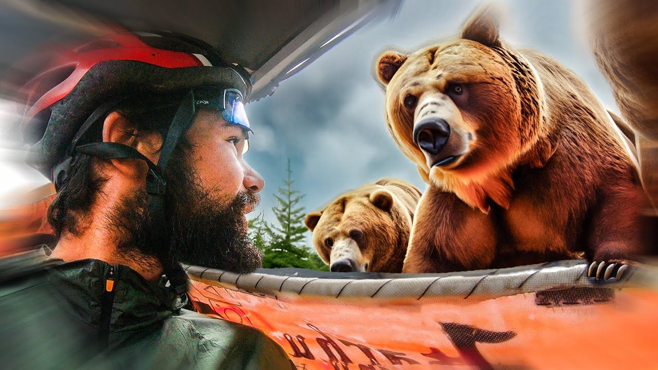 J'ai croisé des OURS sur ma Route Retour (3/3)